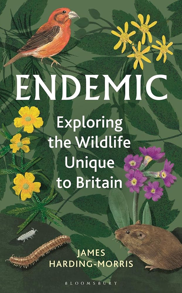 Endemic: Exploring the wildlife unique to Britain cover image