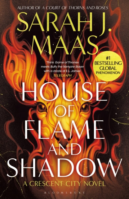 House of Flame and Shadow : The INTERNATIONAL BESTSELLER