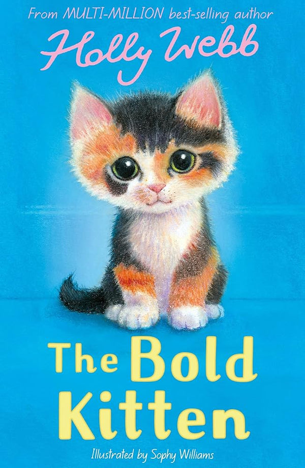 The Bold Kitten cover image